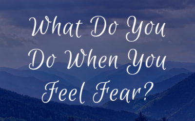 What Do You Do When You Feel Fear?